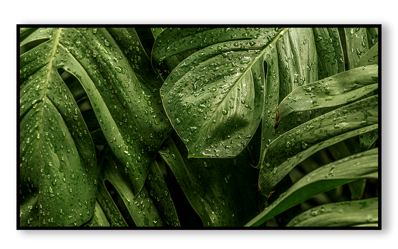 Монитор Samsung QM32R